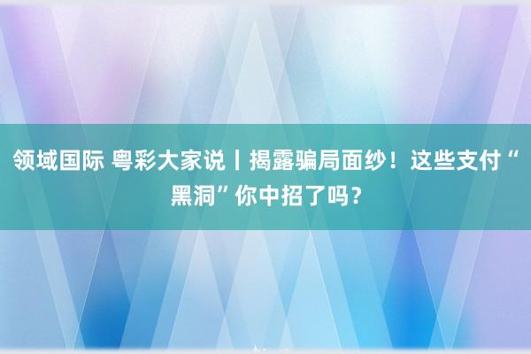 领域国际 粤彩大家说丨揭露骗局面纱！这些支付“黑洞”你中招了吗？
