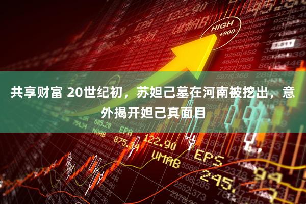 共享财富 20世纪初，苏妲己墓在河南被挖出，意外揭开妲己真面目