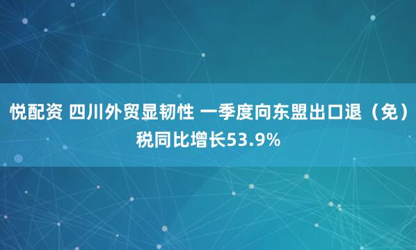悦配资 四川外贸显韧性 一季度向东盟出口退（免）税同比增长53.9%